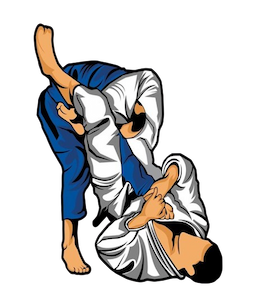 BJJ School Jiu Jitsu